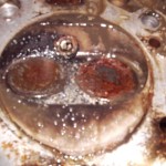 krems073 Foto anklicken zum Vergrößern.