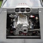 Foto anklicken zum Vergrößern.