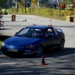 ried-10-06 Foto anklicken zum Vergrößern.