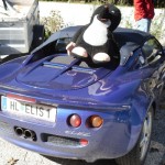 wurzer-2-04-10 Foto anklicken zum Vergrößern.