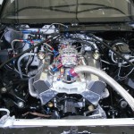 ards2011-03 Foto anklicken zum Vergrößern.