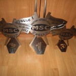 slalom-wels-20124 Foto anklicken zum Vergrößern.