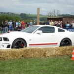 Foto anklicken zum Vergrößern.