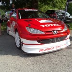 bergslalom-putzmuhle-26