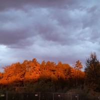 20230930_070420-kopie-2 20230930_070420-kopie-2